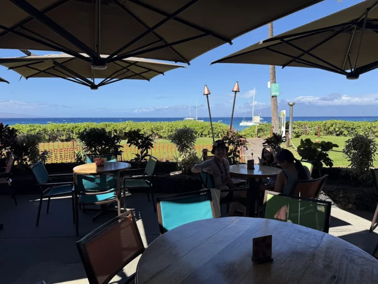 Leilanisonthebeach 768x576