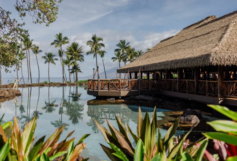 humu2grandwailea 1 768x520
